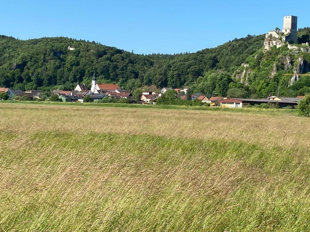 Ferienwohnung Im Wunderschoenen Altmuehltal Wellheim Dış mekan fotoğraf